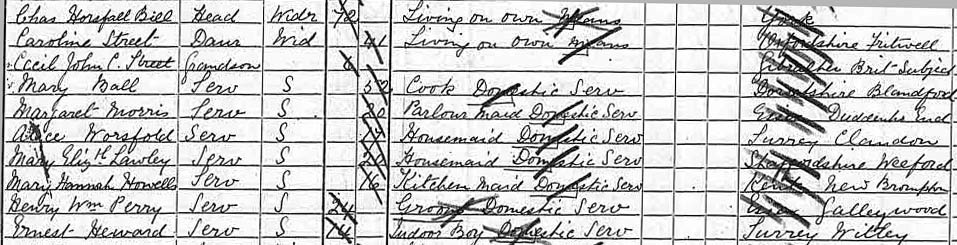 1891 census